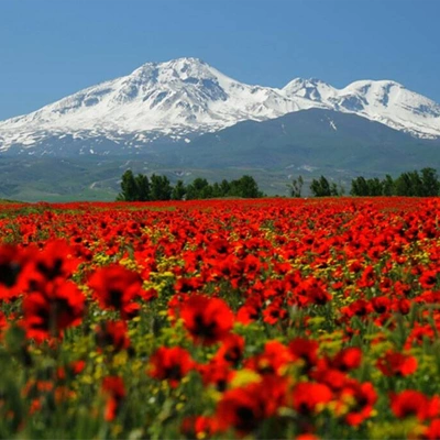 تور اردبیل